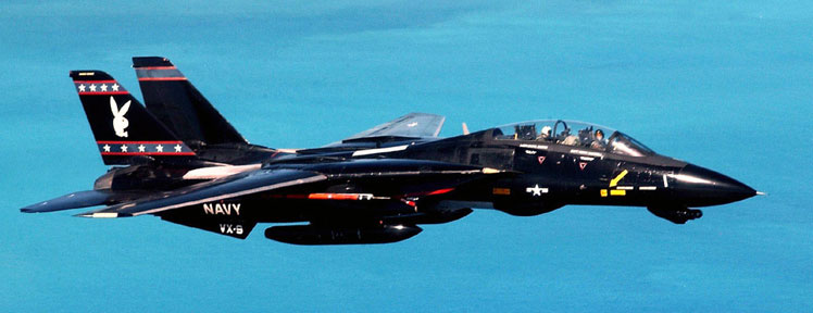 スカイマスターSkymaster F14塗装パターン#142